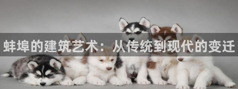 意昂体育3注册：蚌埠的建筑艺术：从传统到现代的变迁