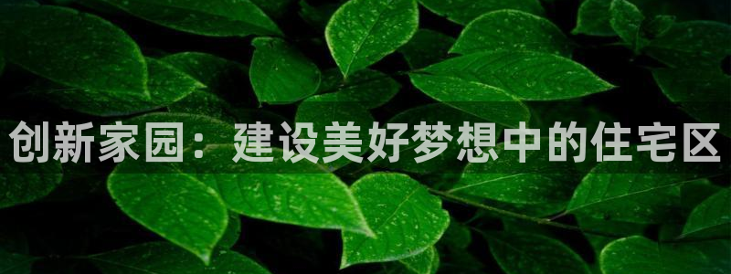 意昂体育3平台注册流程视频：创新家园：建设美好梦想中的住宅区