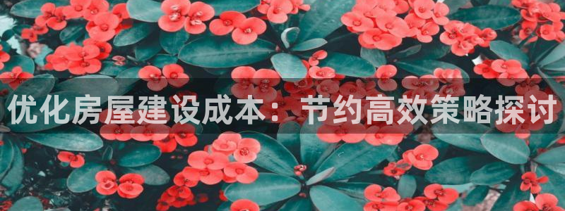 意昂体育3招商电话号码查询：优化房屋建设成本：节约高效策略探讨