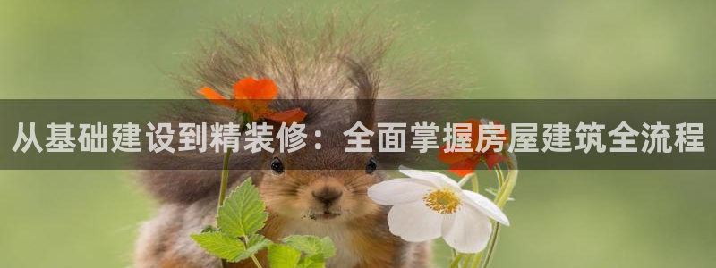 意昂3集团官网首页网址：从基础建设到精装修：全面掌握房屋建筑全流程