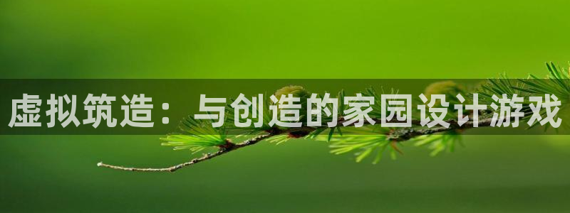 意昂体育3招商电话号码：虚拟筑造：与创造的家园设计游戏