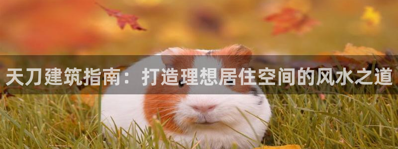 意昂3官网：天刀建筑指南：打造理想居住空间的风水之道