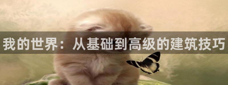 意昂体育3平台假的吗是真的吗：我的世界：从基础到高级的建筑技巧