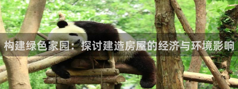 意昂3五金厂：构建绿色家园：探讨建造房屋的经济与环境影响