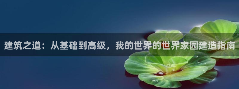 意昂体育3平台注册流程视频：建筑之道：从基础到高级，我的世界的世界家园建造指南