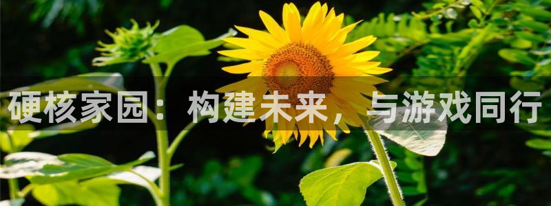 意昂3娱乐下载：硬核家园：构建未来，与游戏同行