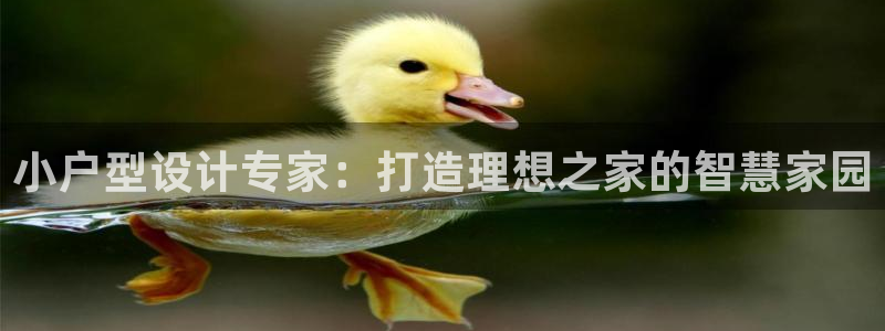 意昂3娱乐首页网站大全：小户型设计专家：打造理想之家的智慧家园