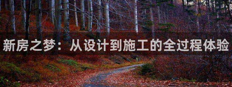 意昂3集团E.ON：新房之梦：从设计到施工的全过程体验