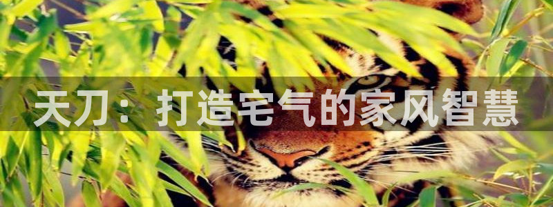 意昂3娱乐首页网站大全：天刀：打造宅气的家风智慧