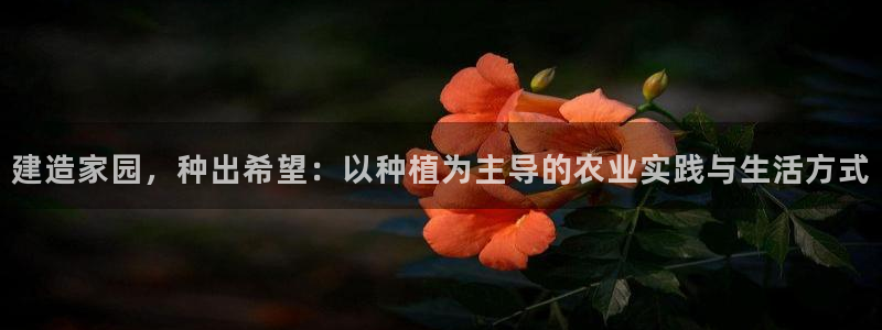 意昂体育3官方客服电话：建造家园，种出希望：以种植为主导的农业实践与生活方式