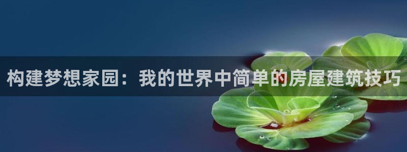 意昂体育3平台假的吗是真的吗吗：构建梦想家园：我的世界中简单的房屋建筑技巧