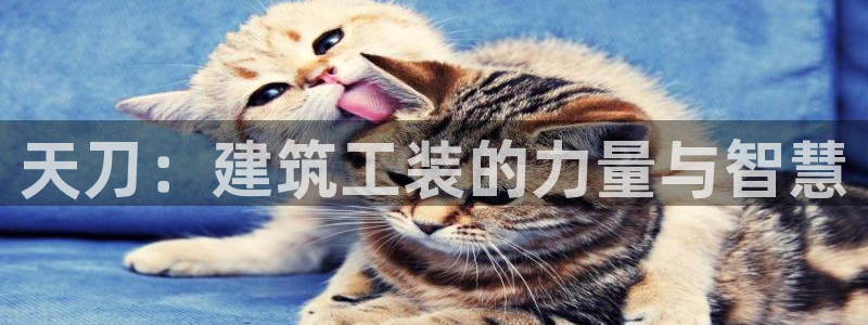 意昂3集团官网网址：天刀：建筑工装的力量与智慧