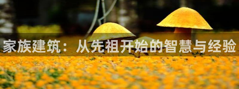 意昂3娱乐平台：家族建筑：从先祖开始的智慧与经验