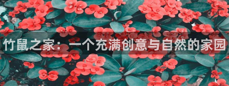 意昂体育3平台是正规平台吗：竹鼠之家：一个充满创意与自然的家园