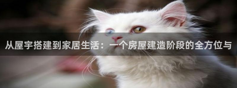 意昂3官网：从屋宇搭建到家居生活：一个房屋建造阶段的全方位与