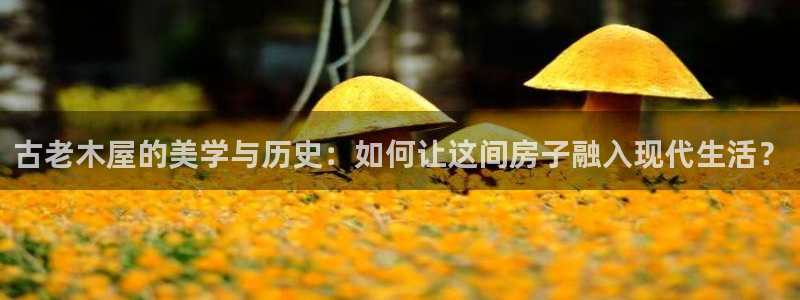 意昂3娱乐40996：古老木屋的美学与历史：如何让这间房子融入现代生活？
