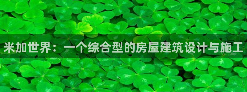 意昂体育3平台APP：米加世界：一个综合型的房屋建筑设计与施工