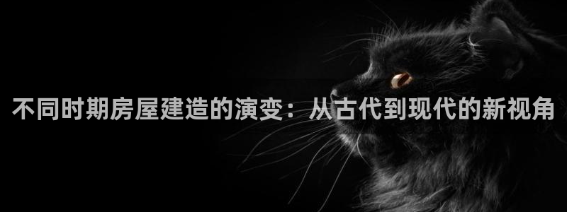 意昂3五金厂：不同时期房屋建造的演变：从古代到现代的新视角