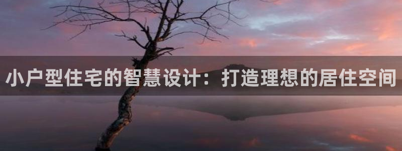 意昂体育3招商电话号码是多少啊：小户型住宅的智慧设计：打造理想的居住空间