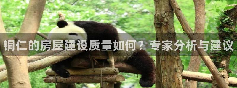 意昂3神州：铜仁的房屋建设质量如何？专家分析与建议