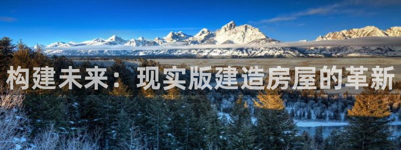 意昂体育3平台注册流程视频：构建未来：现实版建造房屋的革新