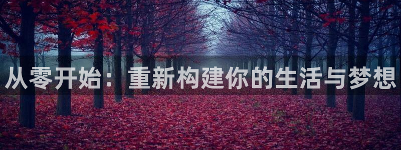 意昂集团官网：从零开始：重新构建你的生活与梦想