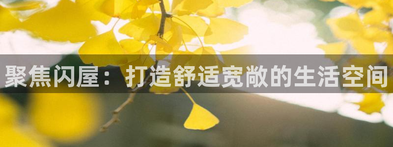 意昂3娱乐代理怎么样：聚焦闪屋：打造舒适宽敞的生活空间