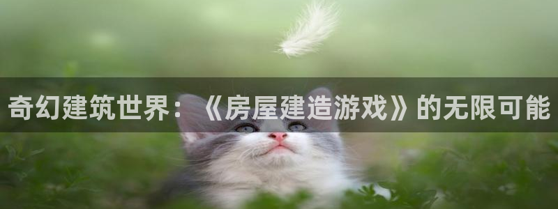 意昂体育3是干嘛的公司：奇幻建筑世界：《房屋建造游戏》的无限可能
