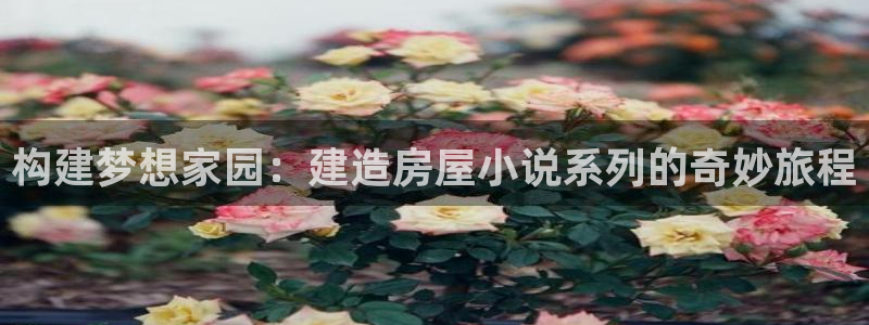 意昂3五金厂：构建梦想家园：建造房屋小说系列的奇妙旅程