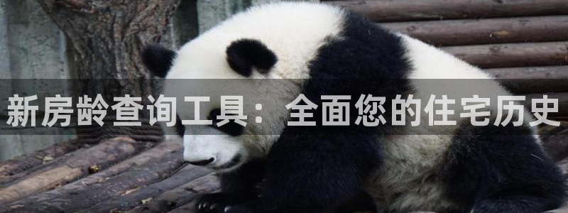 意昂体育3平台注册流程视频：新房龄查询工具：全面您的住宅历史