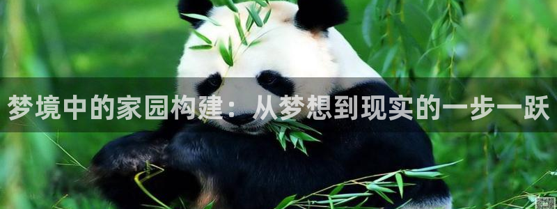 意昂3神州：梦境中的家园构建：从梦想到现实的一步一跃