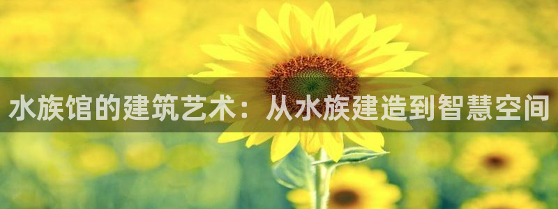 意昂体育3招商电话地址：水族馆的建筑艺术：从水族建造到智慧空间