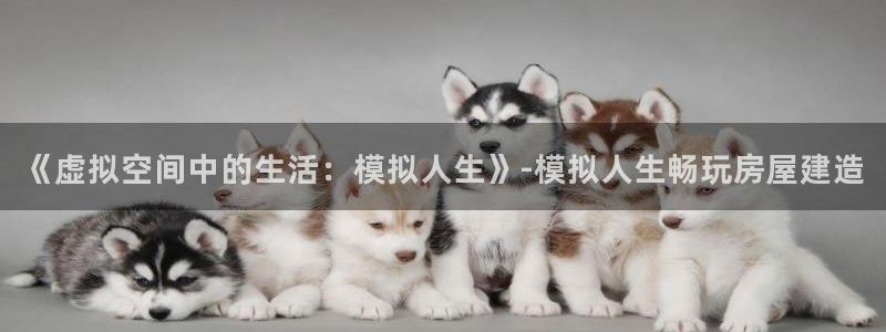 德国意昂3集团：《虚拟空间中的生活：模拟人生》-模拟人生畅玩房屋建造