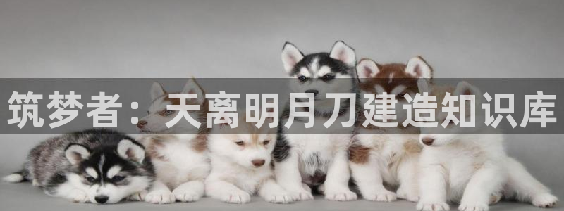 意昂体育3娱乐：筑梦者：天离明月刀建造知识库