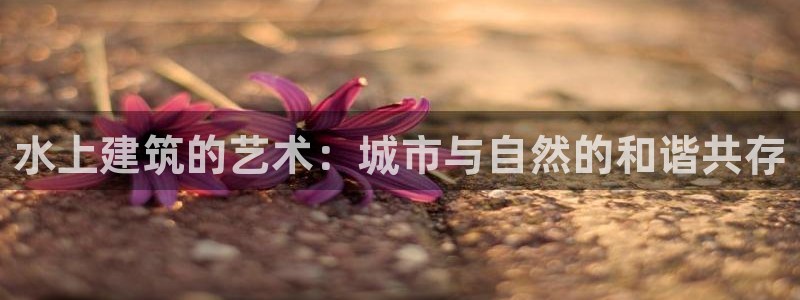 意昂体育3招商电话是多少啊：水上建筑的艺术：城市与自然的和谐共存