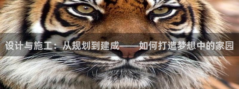 意昂3娱乐代理怎么样：设计与施工：从规划到建成——如何打造梦想中的家园
