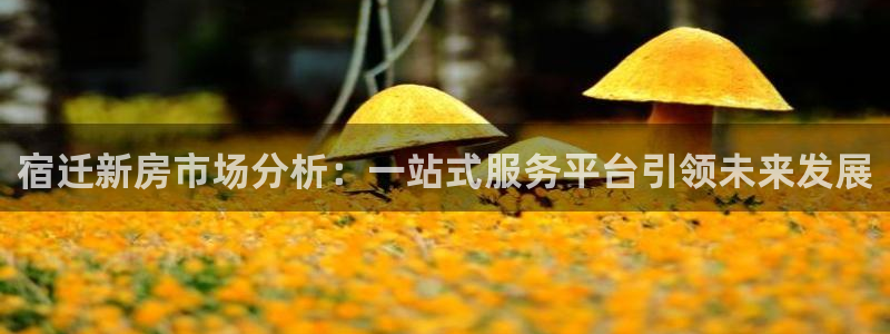 意昂3新能源：宿迁新房市场分析：一站式服务平台引领未来发展