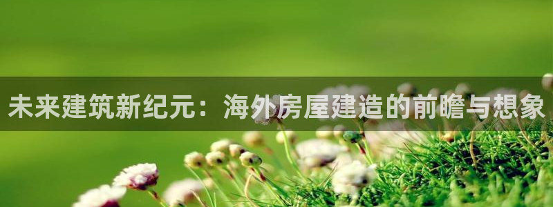 意昂体育3招商电话地址：未来建筑新纪元：海外房屋建造的前瞻与想象