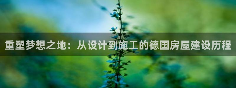 意昂体育3平台APP：重塑梦想之地：从设计到施工的德国房屋建设历程