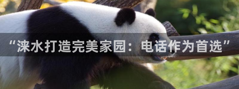 意昂3新能源：“涞水打造完美家园：电话作为首选”